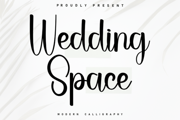 Wedding Space